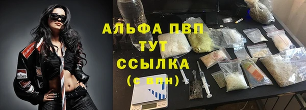 ECSTASY Богородицк