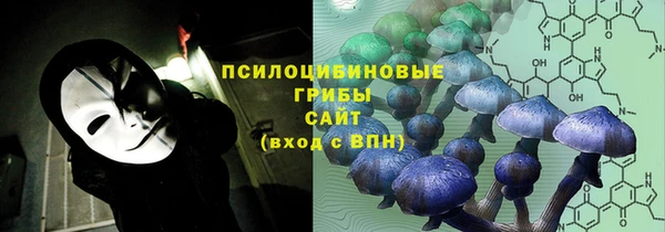 ECSTASY Богородицк