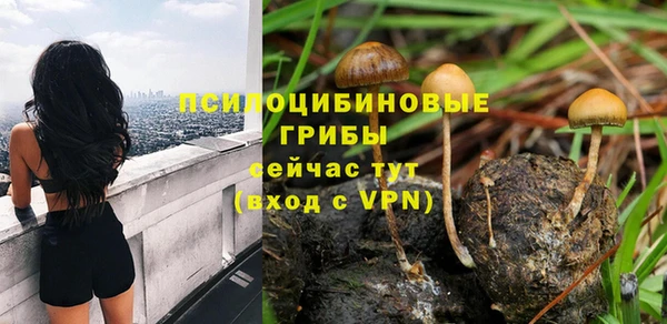 apvp Бугульма