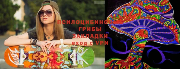 ECSTASY Богородицк