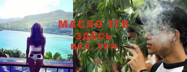 mix Бородино