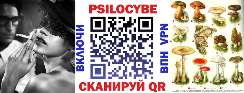 дарнет шоп  Гудермес  Галлюциногенные грибы MAGIC MUSHROOMS 